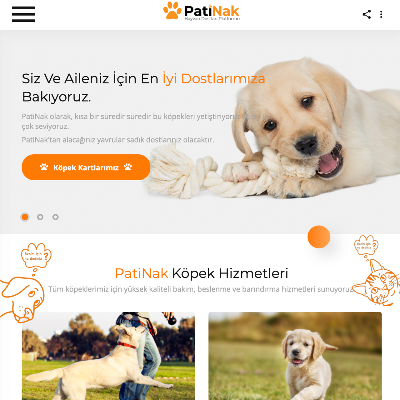 portfolio popup